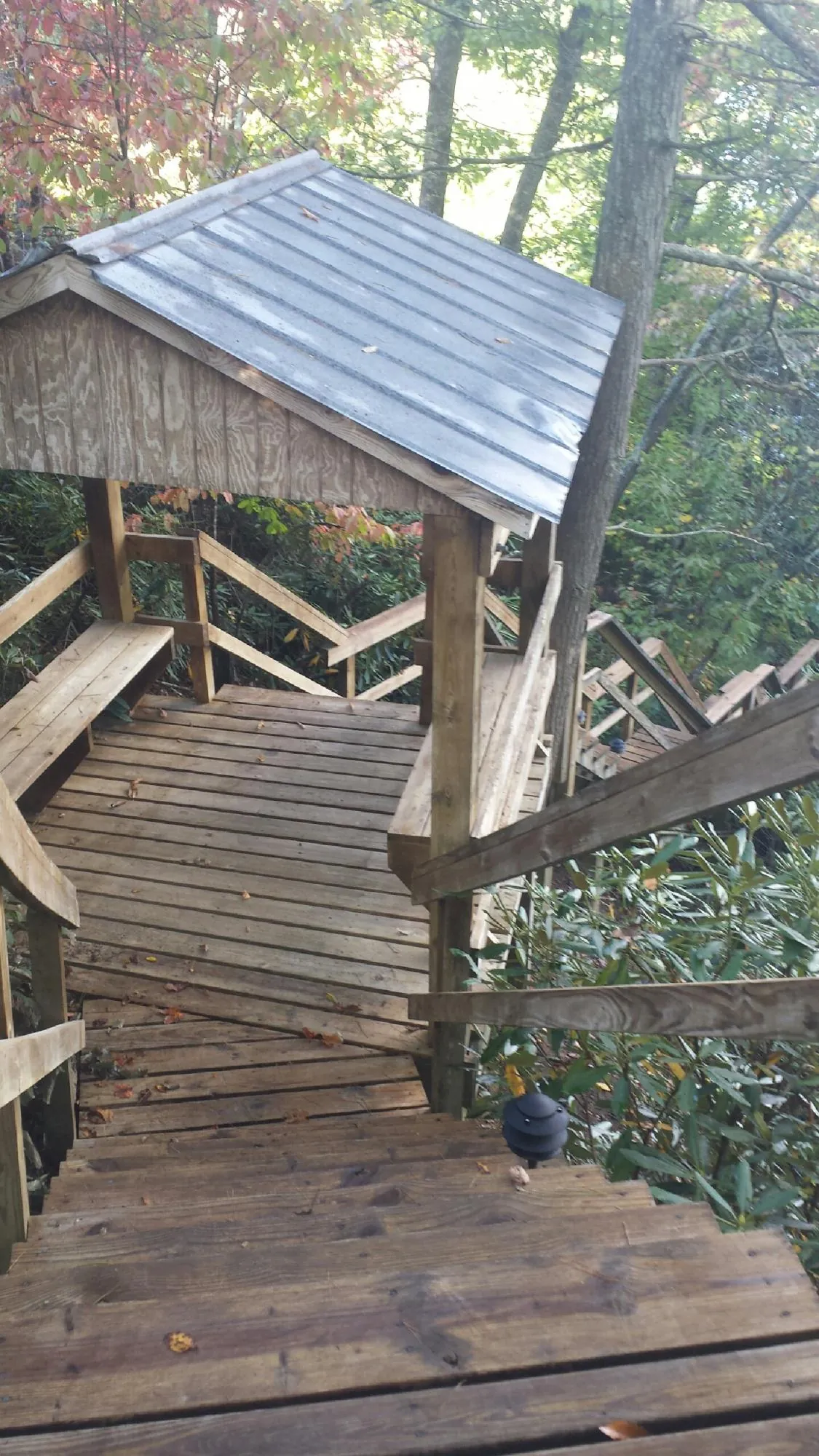 Metal roofed shelter over wooden steps on a wooded walkway — Skylight Repair & Installation work by our crew in Brownsdale